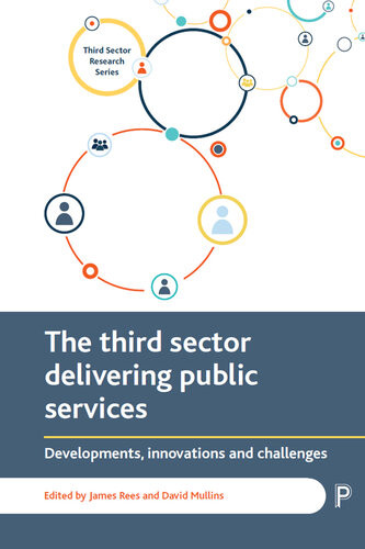 The Third Sector Delivering Public Services Developments Innovations And Challenges James Rees