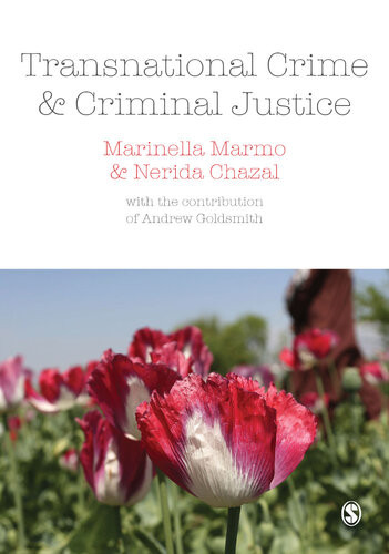 Transnational Crime And Criminal Justice Marinella Marmo With The Contribution Of Merida Chazal