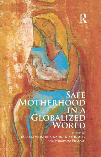 Safe Motherhood In A Globalized World Barbara Wejnert Suzanne K Steinmetz