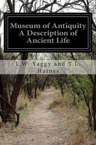 Museum Of Antiquity T L Thomas Louis Haines
