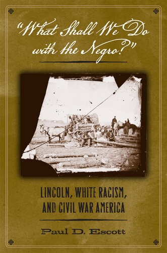 What Shall We Do With The Negro Lincoln White Racism And Civil War America Paul D Escott
