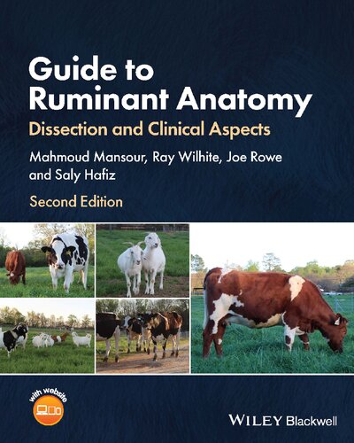 Guide To Ruminant Anatomy Dissection And Clinical Aspects 2nd Edition Mahmoud Mansour