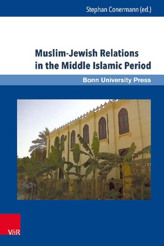 Muslimjewish Relations In The Middle Islamic Period Jews In The Ayyubid And Mamluk Sultanates 11711517 Stephan Conermann