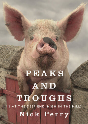 Peaks And Troughs Nick Perry