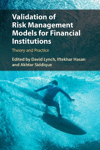 Validation Of Risk Management Models For Financial Institutions Theory And Practice David Lynch