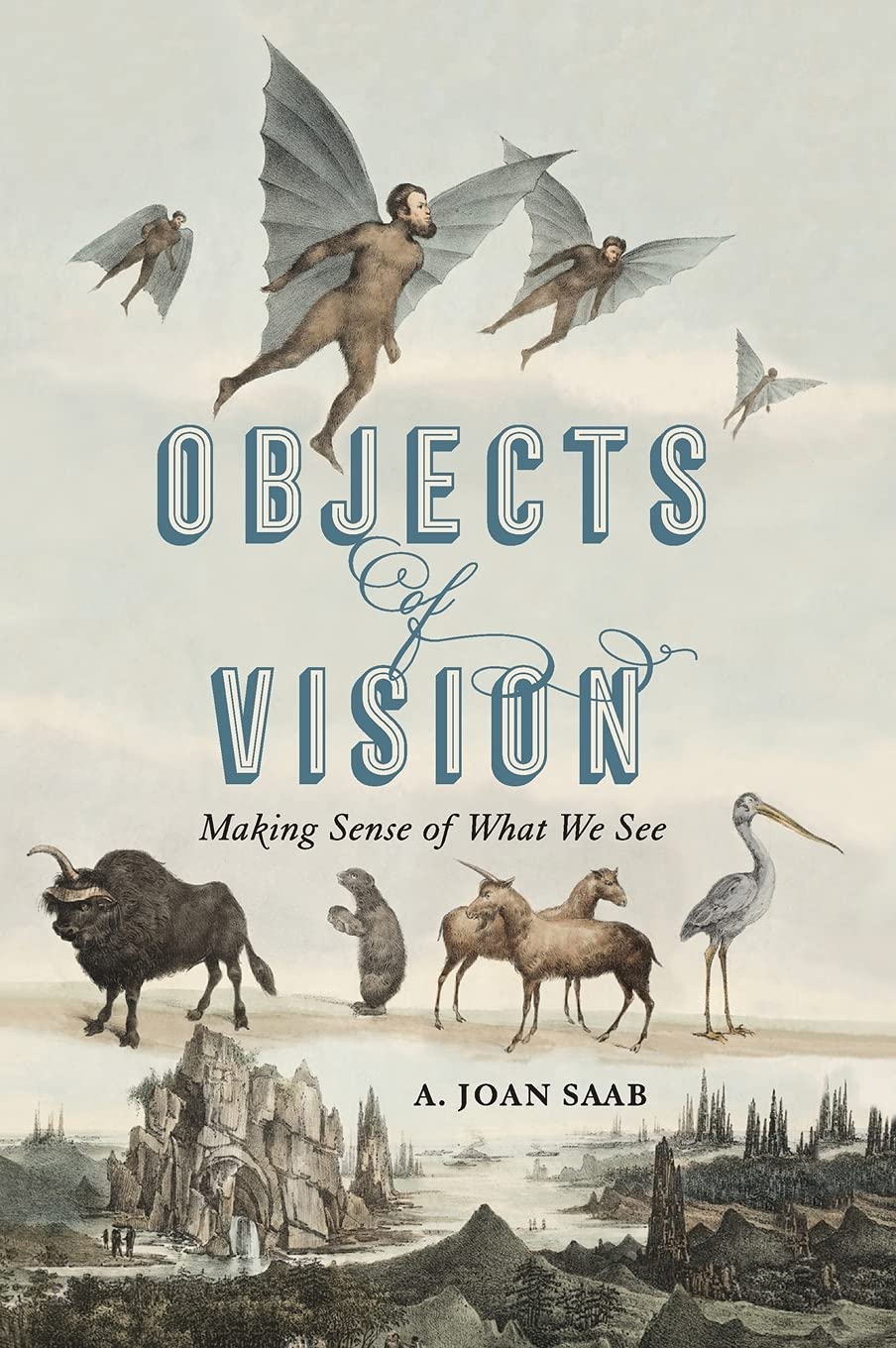 Objects Of Vision A Joan Saab Susan B Anthony Professor A Joan Saab