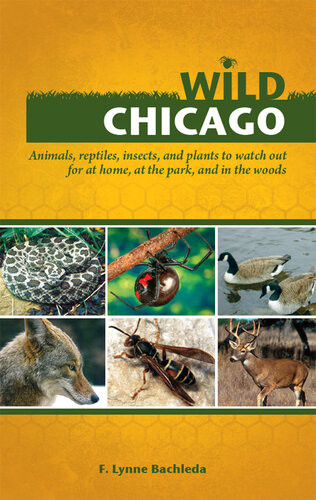 Wild Chicago Animals Reptiles Insects And Plants To Watch Out For At Home At The Park And In The Woods F Lynne Bachleda