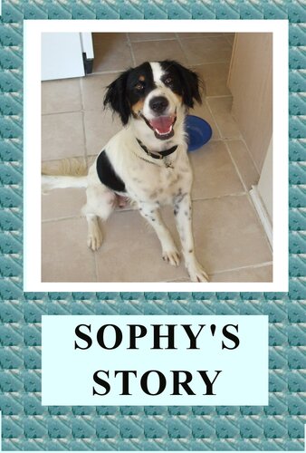 Sophy Goes To The Doggy Doctor April Kihlstrom