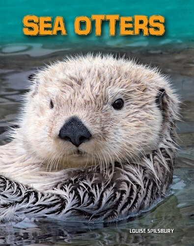 Sea Otters Louise Spilsbury