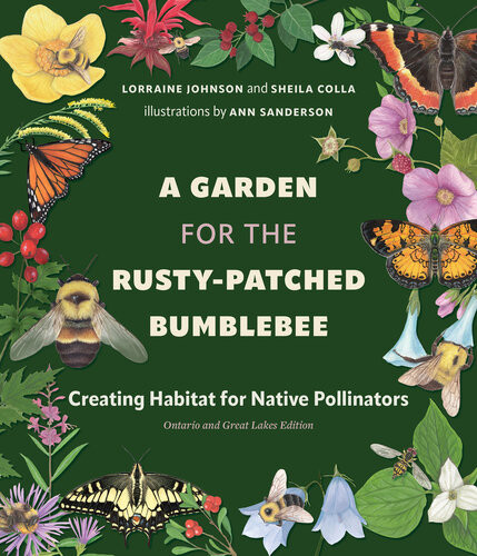 A Garden For The Rustypatched Bumblebee Creating Habitat For Native Pollinators Ontario And Great Lakes Edition Lorraine Johnson Sheila Colla