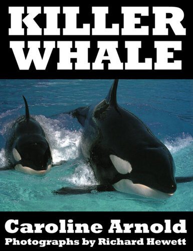 Killer Whale Caroline Arnold