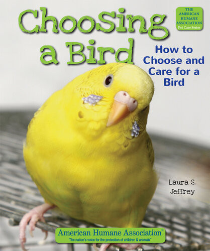 Choosing A Bird How To Choose And Care For A Bird Laura S Jeffrey