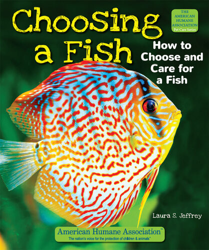 Choosing A Fish How To Choose And Care For A Fish Laura S Jeffrey