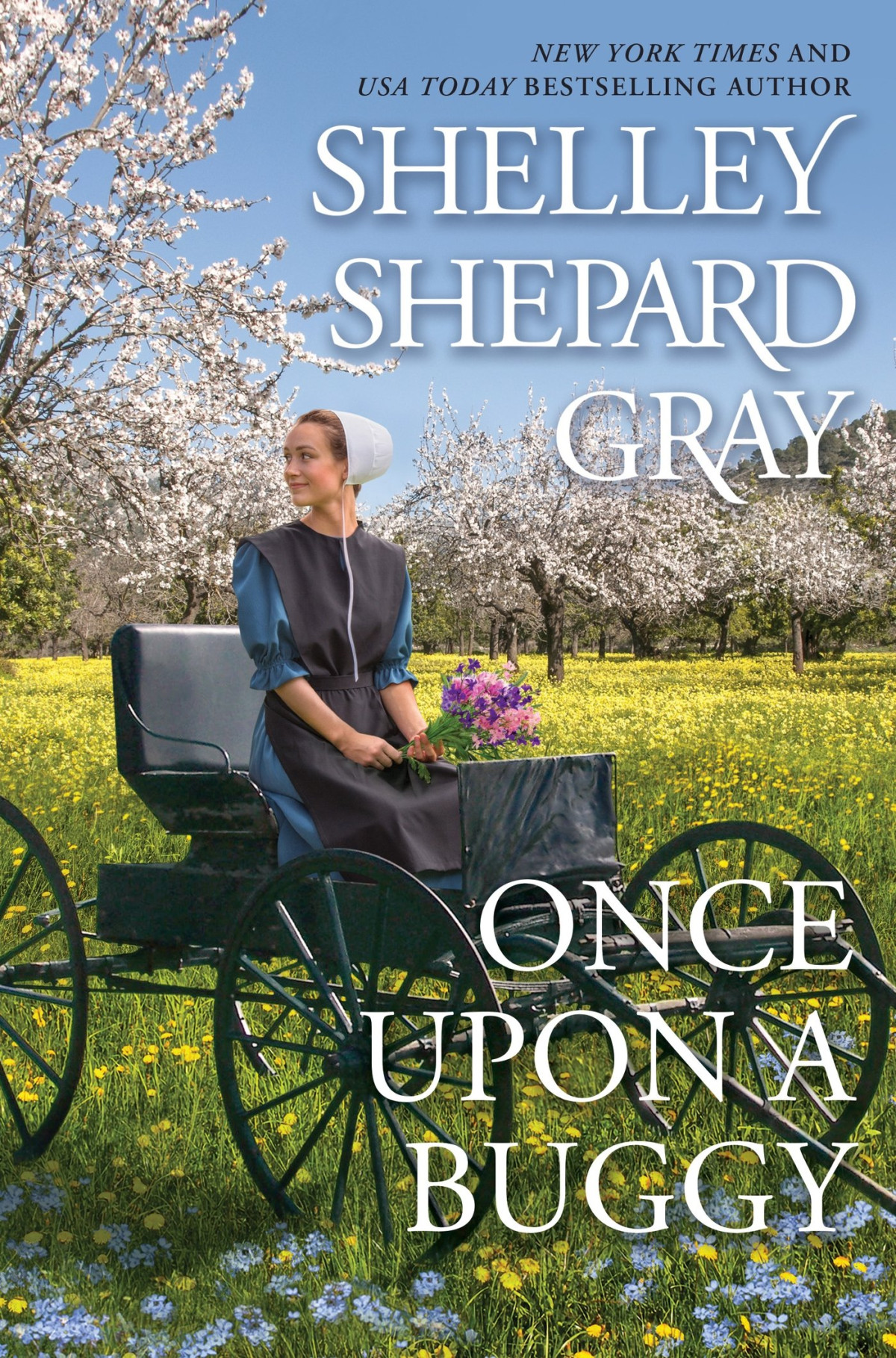 Once Upon A Buggy Shelley Shepard Gray