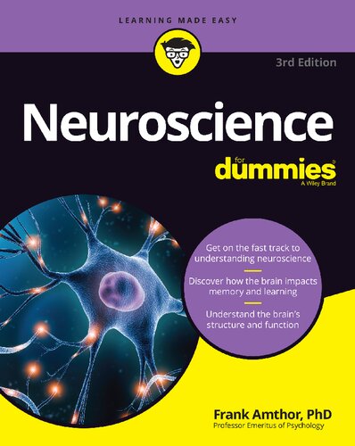 Neuroscience For Dummies 3rd 3rd Frank Amthor