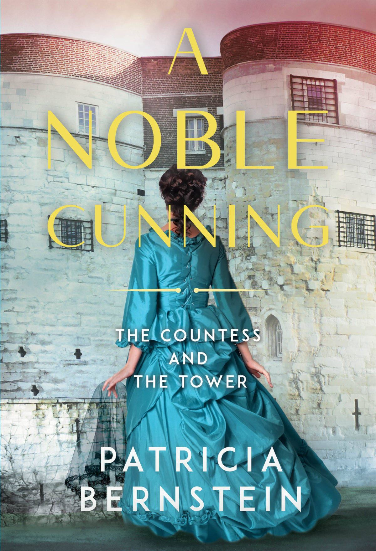 A Noble Cunning Patricia Bernstein
