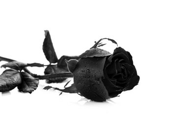 A Dark Duet Giselle And Briana Carmen Rosales