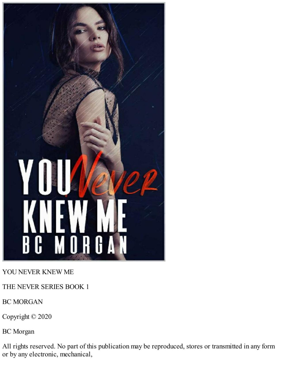 You Never Knew Me The Never Series Book 1 B C Morgan