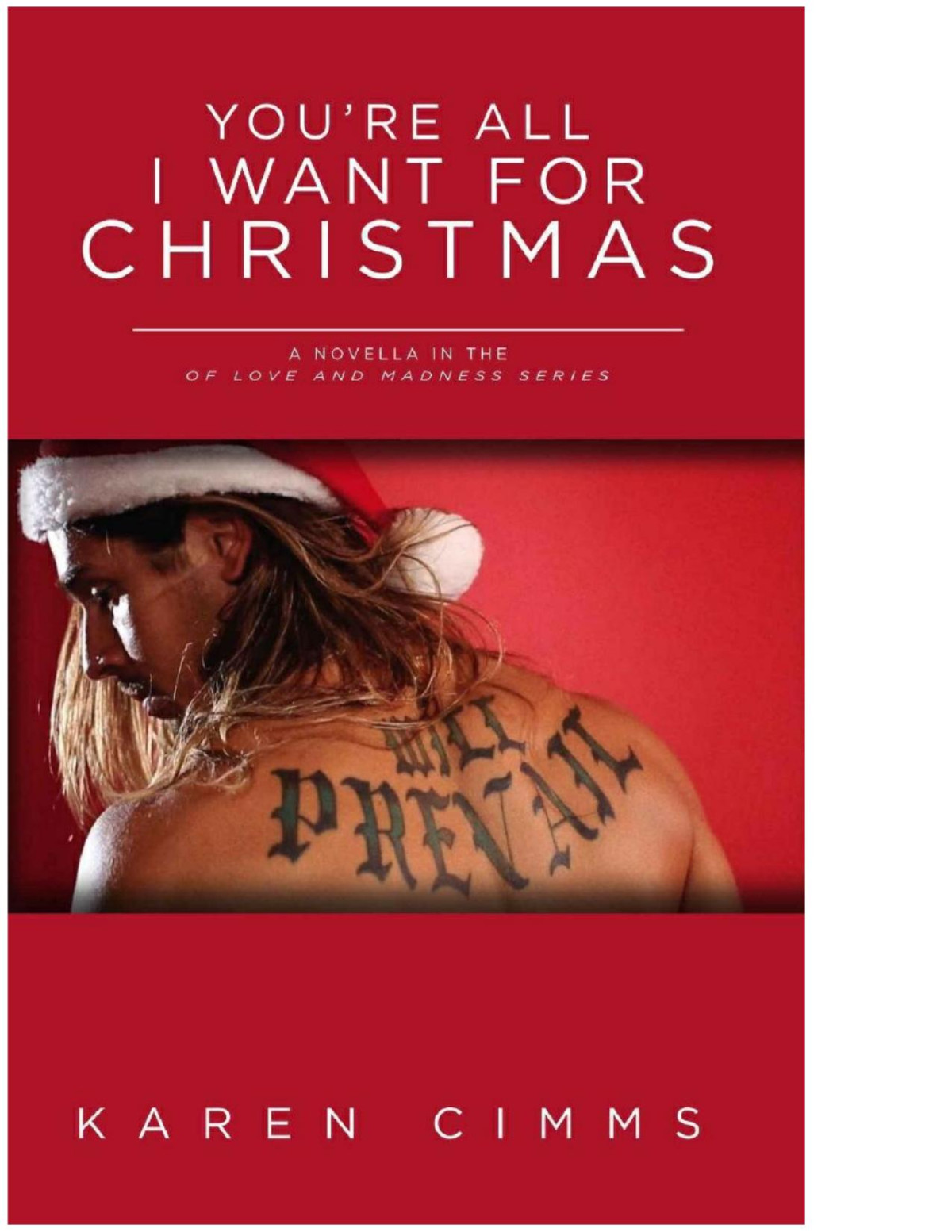 Youre All I Want For Christmas A Novella Of Love And Madness Book 4 Karen Cimms