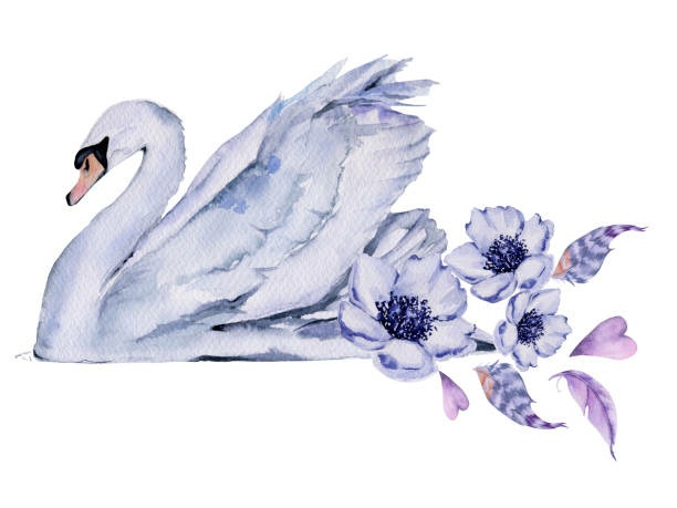 A Duke For Delilah The Swan Sisters Book 4 Jillian Eaton