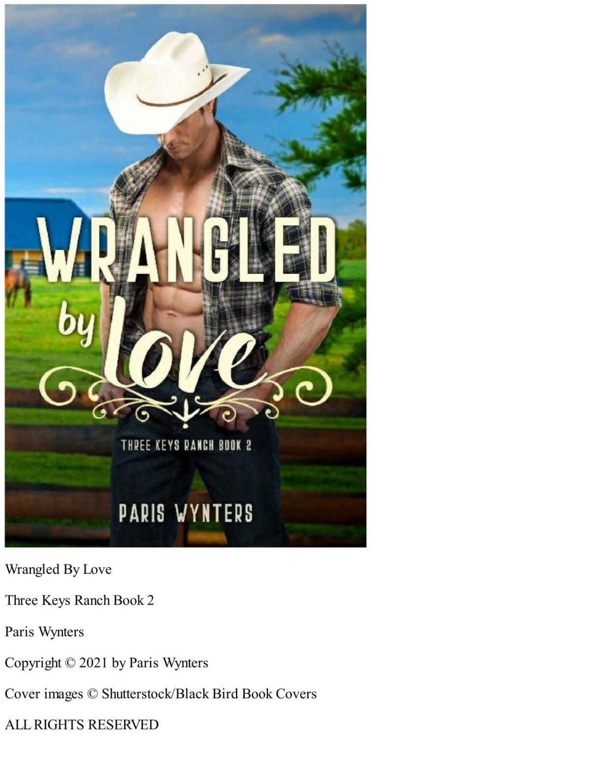 Wrangled By Love A Contemporary Cowboy Romance Three Keys Ranch Book 2 Paris Wynters