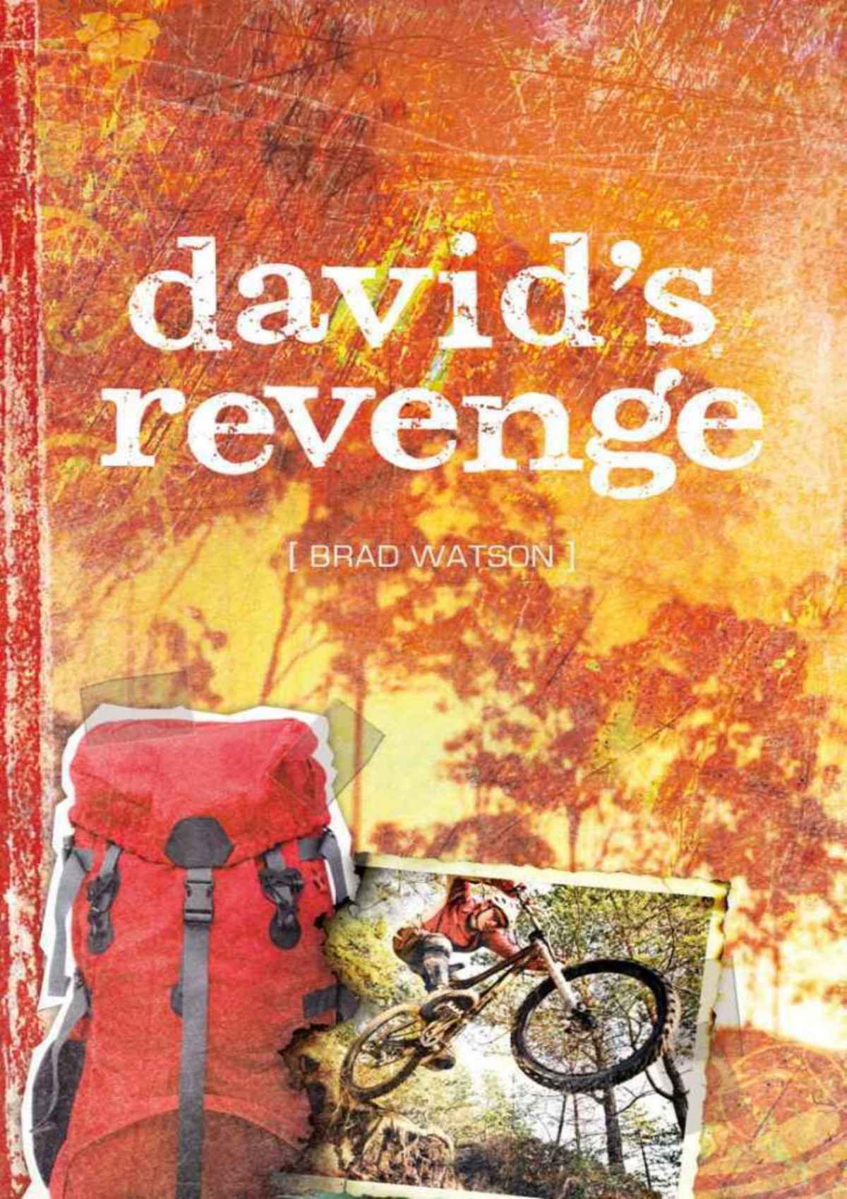 Davids Revenge Brad Watson Nathan Brown
