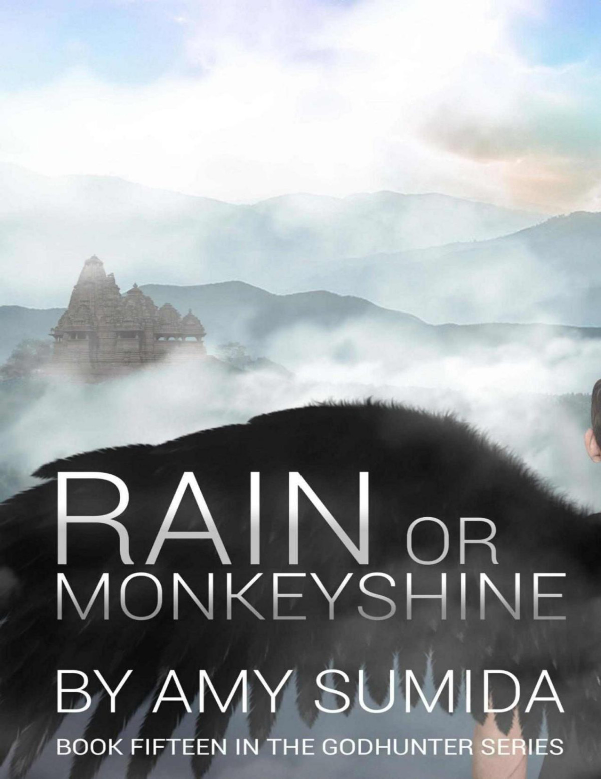 Rain Or Monkeyshine Amy Sumida
