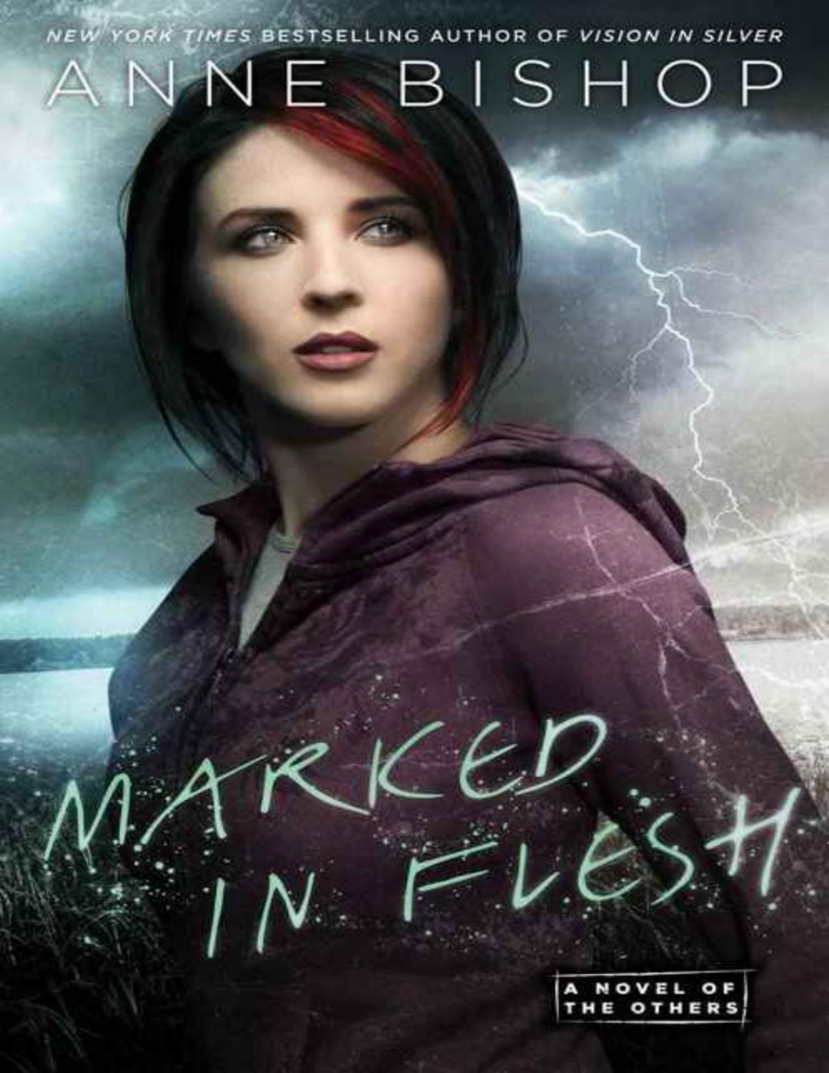 Marked In Flesh The Others 04 3rd Edition Anne Bishop