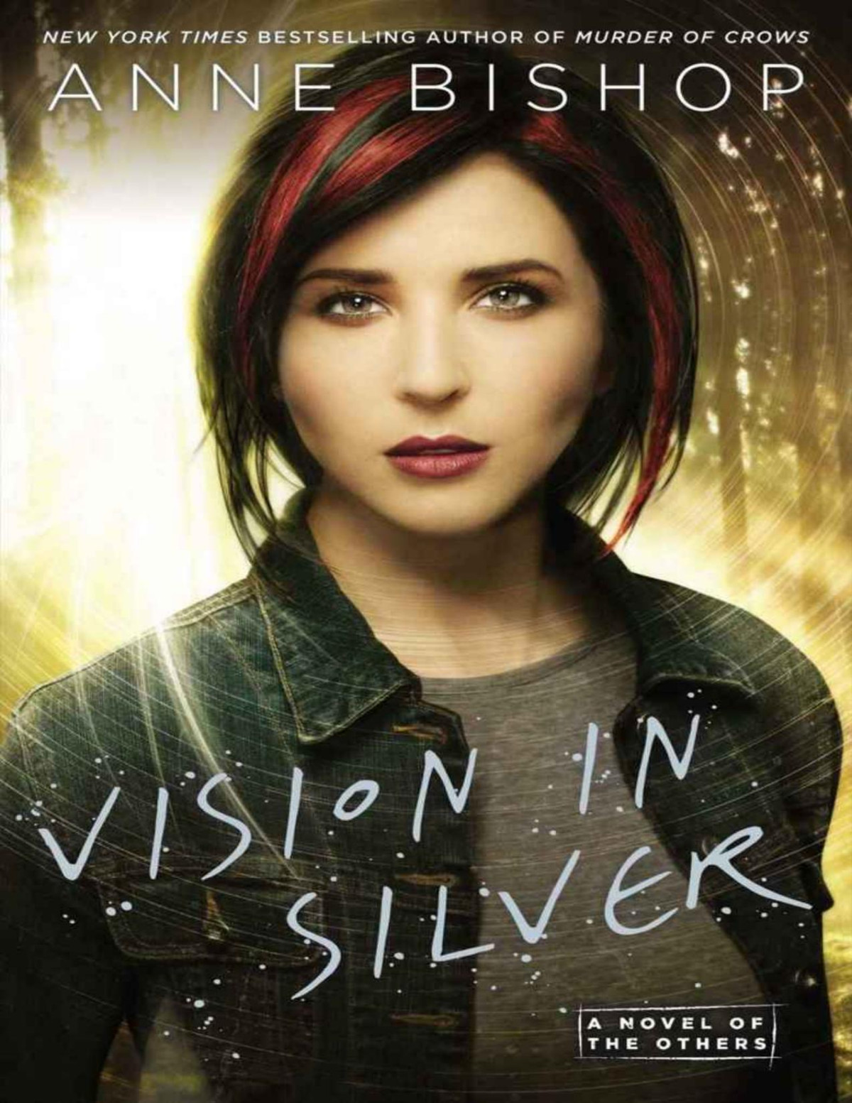 Vision In Silver The Others 03 2nd Edition Anne Bishop