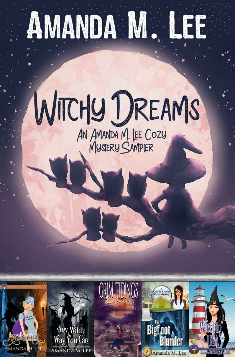 Witchy Dreams Amanda M Lee