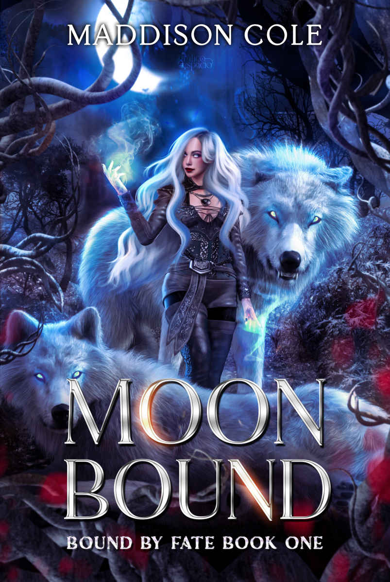 Moon Bound A Why Choose Fated Mates Romance Maddison Cole