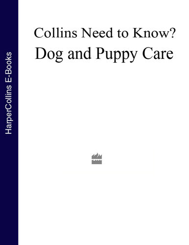 Dog And Puppy Care Collins Need To Know Series Collins