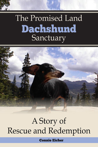The Promised Land Dachshund Sanctaury A Story Of Rescue And Redemption Connie Jean Eicher