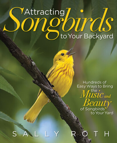 Attracting Songbirds To Your Backyard Sally Roth