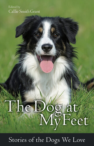 The Dog At My Feet Stories Of The Dogs We Love Callie Smith Grant