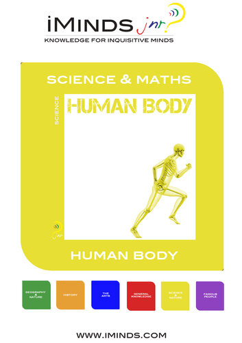 Human Body Iminds