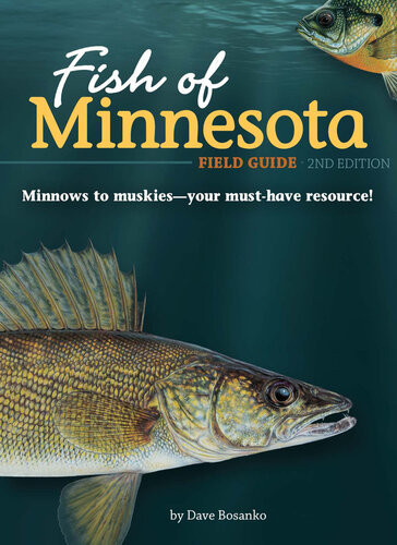 Fish Of Minnesota Field Guide 2nd Edition Dave Bosanko