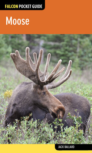 Moose Falcon Pocket Guide 1st Edition Jack Ballard