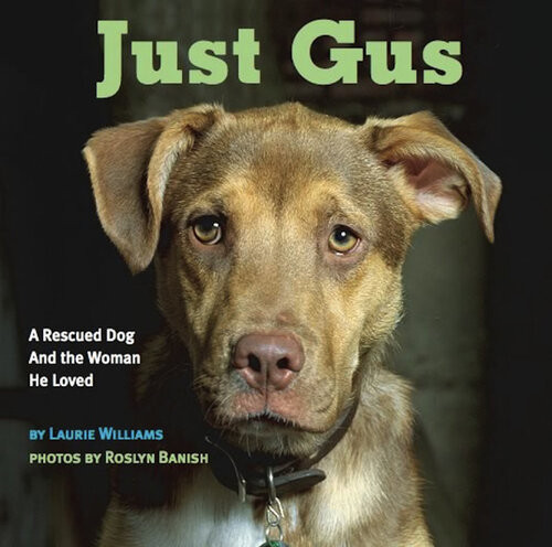 Just Gus A Rescued Dog And The Woman He Loved Laurie Williams