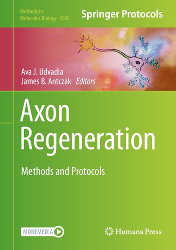 Axon Regeneration Methods And Protocols Ava J Udvadia James B Antczak