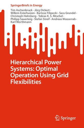 Hierarchical Power Systems Optimal Operation Using Grid Flexibilities Tim Aschenbruck