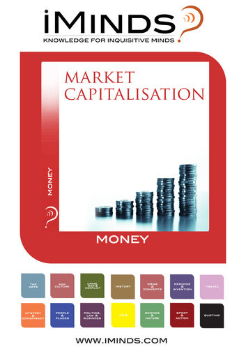 Market Capitalisation Iminds