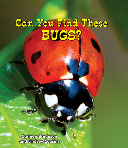 Can You Find These Bugs Carmen Bredeson Lindsey Cousins