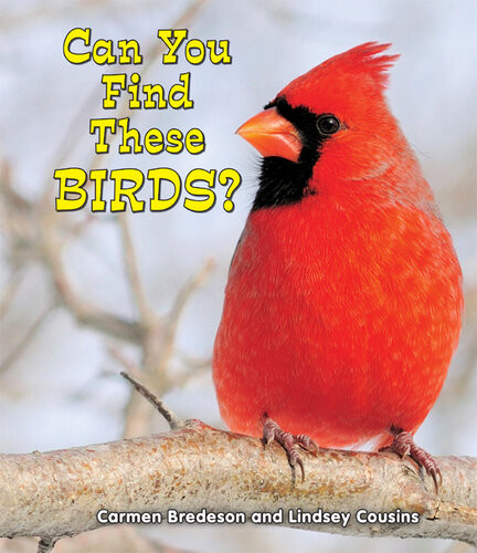 Can You Find These Birds Carmen Bredeson Lindsey Cousins