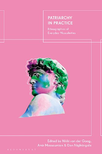 Patriarchy In Practice Ethnographies Of Everyday Masculinities Nikki Van Der Gaag
