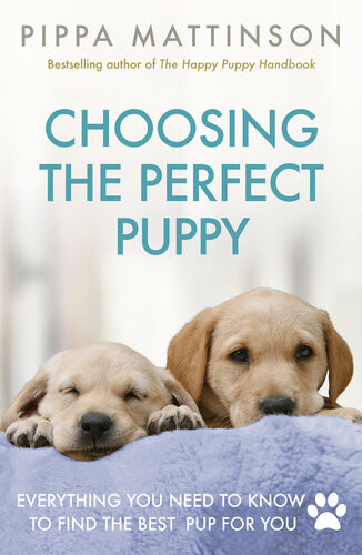 Choosing The Perfect Puppy Pippa Mattinson