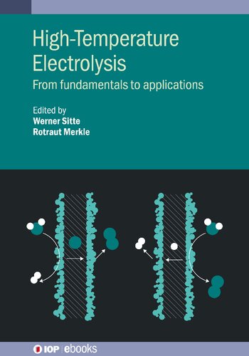 Hightemperature Electrolysis From Fundamentals To Applications Rotraut Merkle