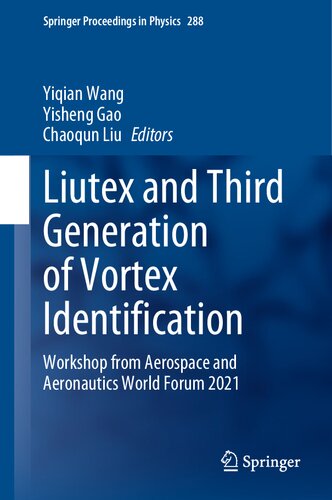 Liutex And Third Generation Of Vortex Identification Workshop From Aerospace And Aeronautics World Forum 2021 Yiqian Wang