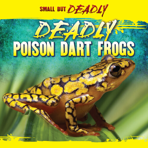 Deadly Poison Dart Frogs Lincoln James