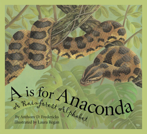 A Is For Anaconda A Rainforest Alphabet Anthony D Fredericks